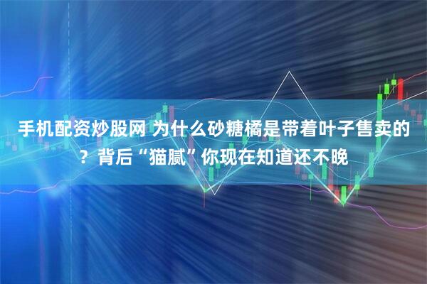 手机配资炒股网 为什么砂糖橘是带着叶子售卖的？背后“猫腻”你现在知道还不晚