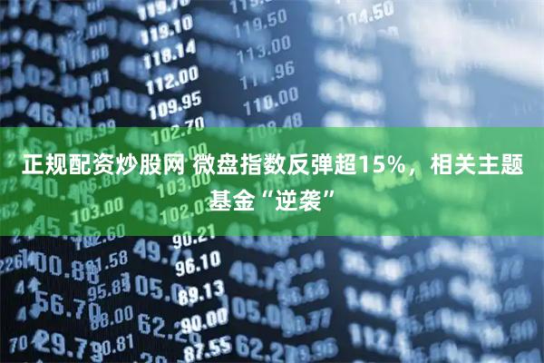 正规配资炒股网 微盘指数反弹超15%，相关主题基金“逆袭”